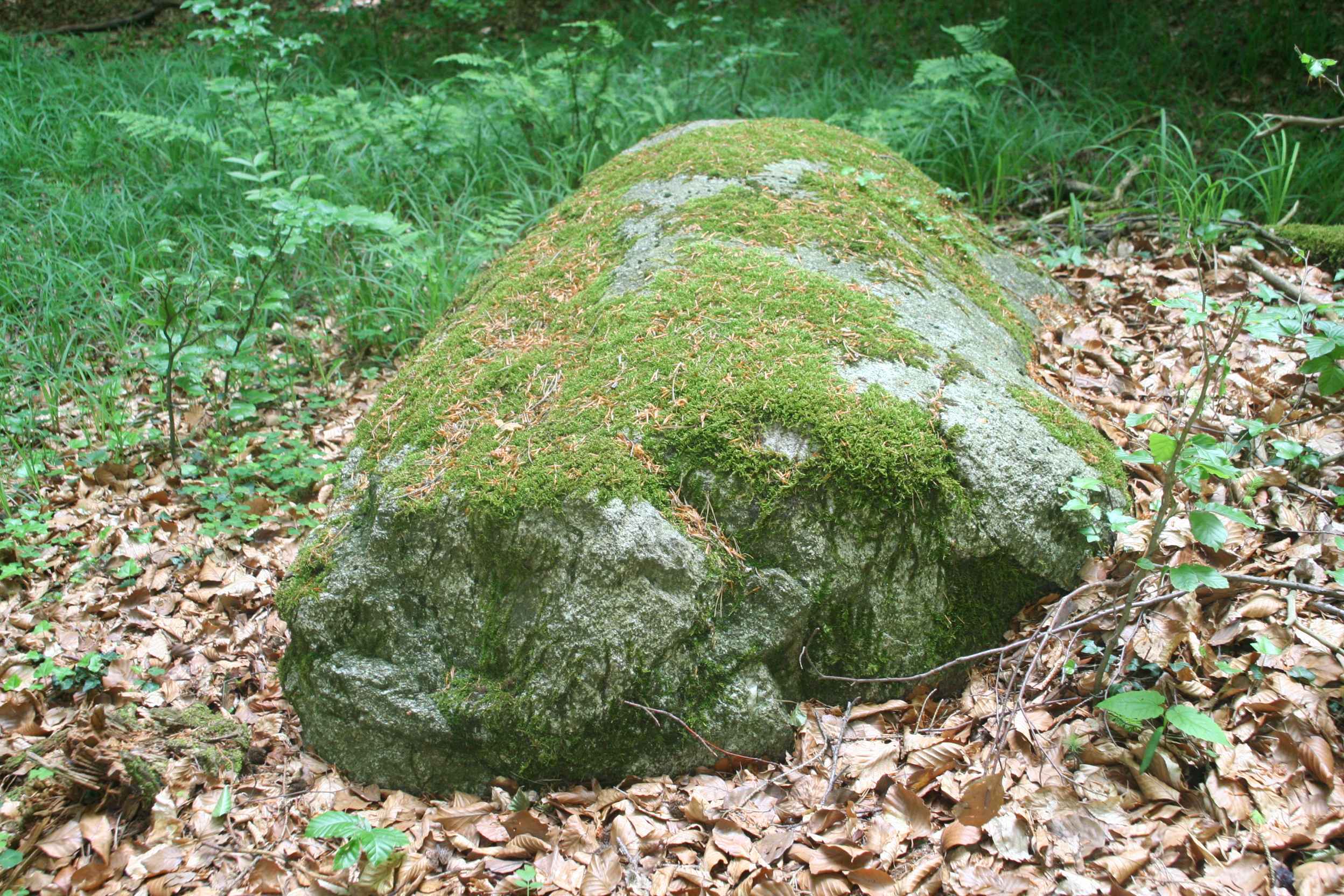 Der Drackenstein, auch ein Burgstelle mitten im Wald Infos zum Drackenstein