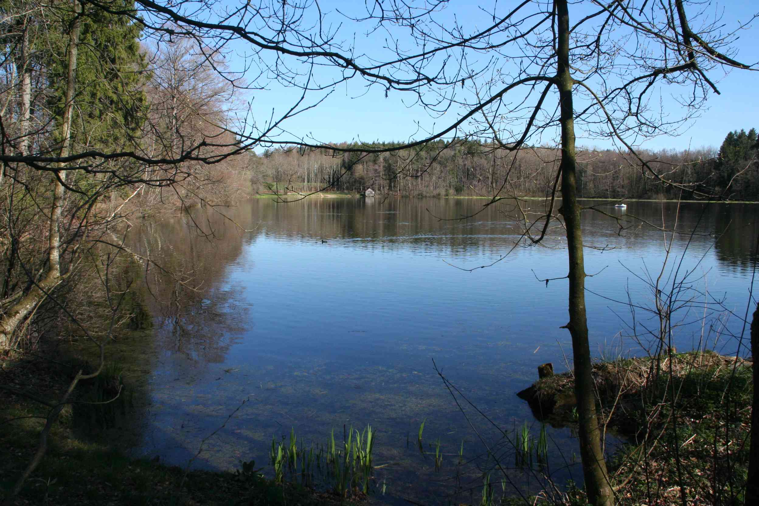 Nochmal der Holzweiher, ein sehr schöner Fleck